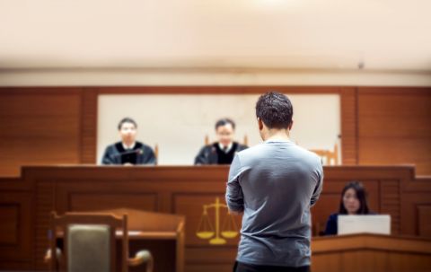 Cases With Self-Represented Litigants